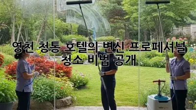 영천 청통 호텔의 ✨변신✨: 프로페셔널 청소 비법 공개!